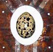 Wild Bird Egg (Brown)